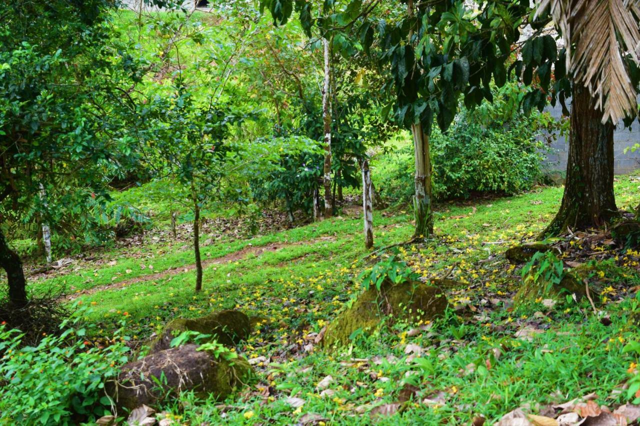 Hotel Rio Celeste Finca L' Etoile Celeste El Achiote ภายนอก รูปภาพ